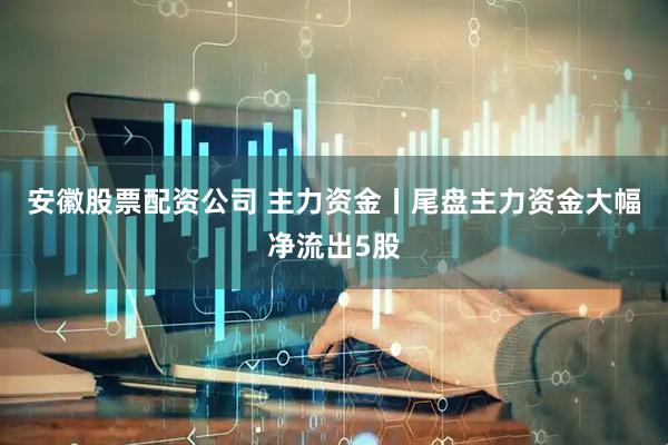 安徽股票配资公司 主力资金丨尾盘主力资金大幅净流出5股